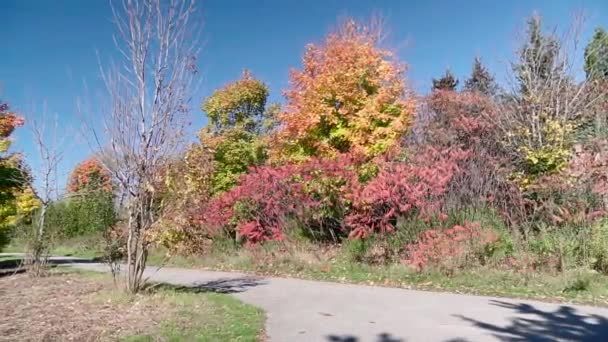 Panorama Eines Gepflügten Feldes Umgeben Von Farbenfrohen Herbstbäumen — Stockvideo