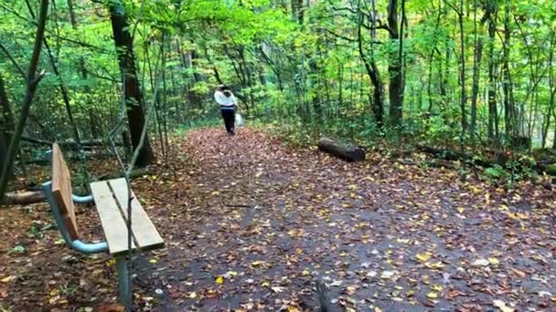 Woman Walks Autumn Deciduous Forest Looking Mushrooms — 图库视频影像