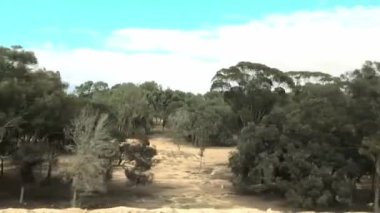 Sıcak Negev yol ve yerleşim yerlerini terk ediyor kumların arasında ve mavi gökyüzünün altında beyaz bulutlu seyrek bir bitki örtüsü