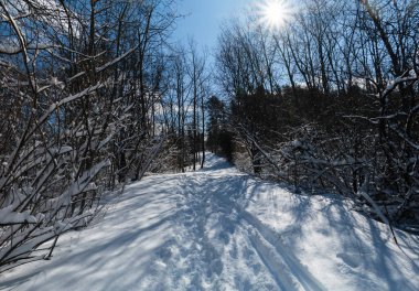 Sabahın ilk ışıklarıyla birlikte, insanlar geceleri yağan taze karların arasından geçmeyi başardılar.
