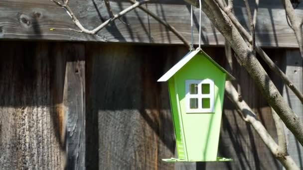 小さな緑の鳥の家は木に掛けられ 最初の春の鳥を見越して風に揺れる — ストック動画