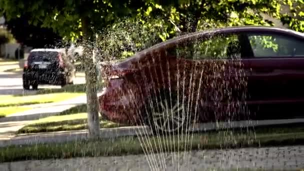 Sprinkler Automatic Watering Green Spaces — ストック動画