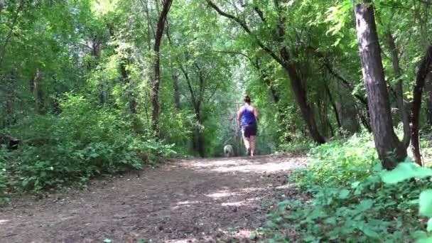 Girl Small Dog Walks Path Park Leading Downhill — Stock Video