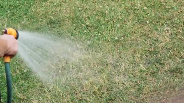 Watering Grass Soft Water Hose Sprinkler — Vídeo de Stock