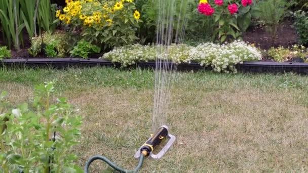 Sprinkler Automatic Watering Green Spaces — 图库视频影像