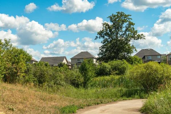 Road Village Immersed Greenery Runs Small Duck Lake — Stock Fotó