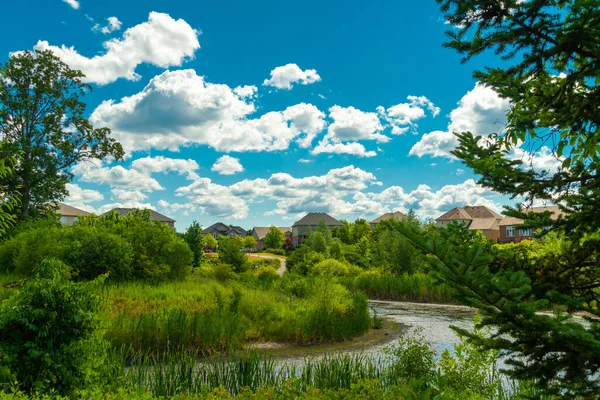 Road Village Immersed Greenery Runs Small Duck Lake — Fotografia de Stock