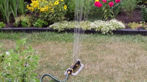 Device Automatic Spraying Jets Water Green Spaces — Stockvideo