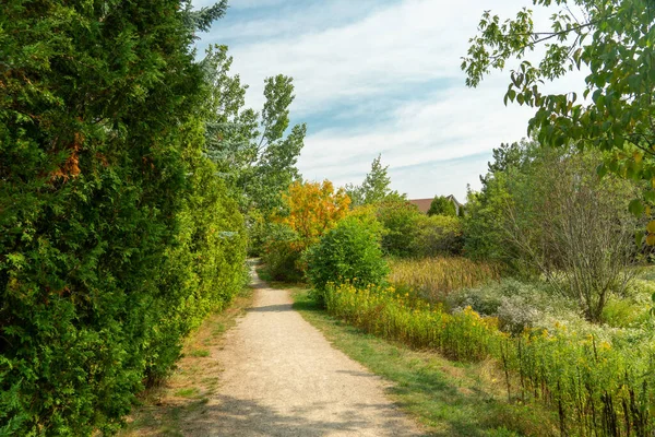 Route Campagne Fin Mois Août Les Buissons Jaunissent Prévision Automne — Photo