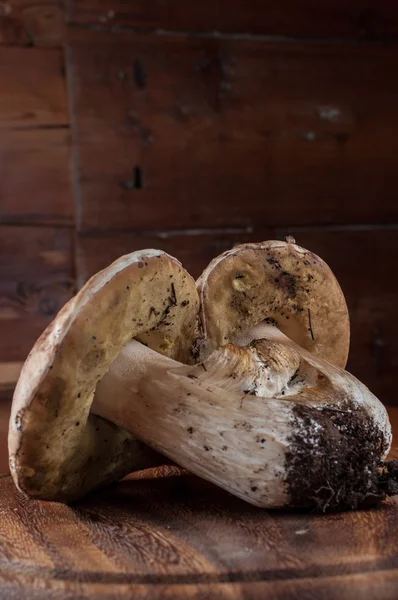 Mushrooms and wood — Stock Photo, Image