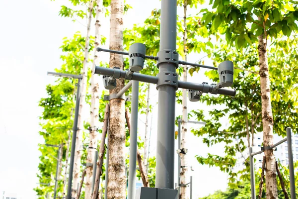 Public Lamp Spotlight Sky Lamp Spotlight Blurry Sky Tree Background — ストック写真