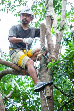 Asyalı işçiler, yükseklerden düşme ve bir parkta veya bahçede ağaç dalları için ağaçlara tırmanma gibi koruyucu ekipmanlar giyiyorlar..