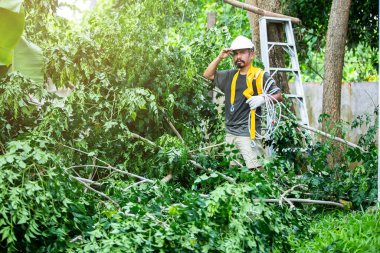 İşçiler yüksekten düşmemek için koruyucu giysi giyiyorlar. Park yüksekliğinden düşmeye karşı kişisel koruyucu ekipman kullanan bir adam..