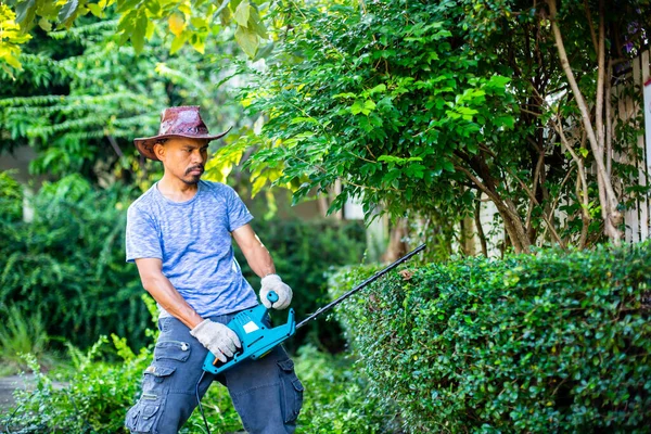 Asian Worker Wearing Gloves Holding Electric Hedge Trimmer While Posing — Stock Photo, Image