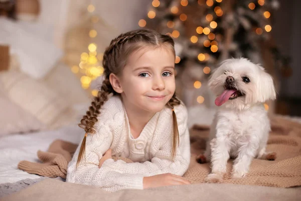 Sorrindo Menina Pequena Abraça Cão Maltês Menina Bonita Garoto Tem — Fotografia de Stock