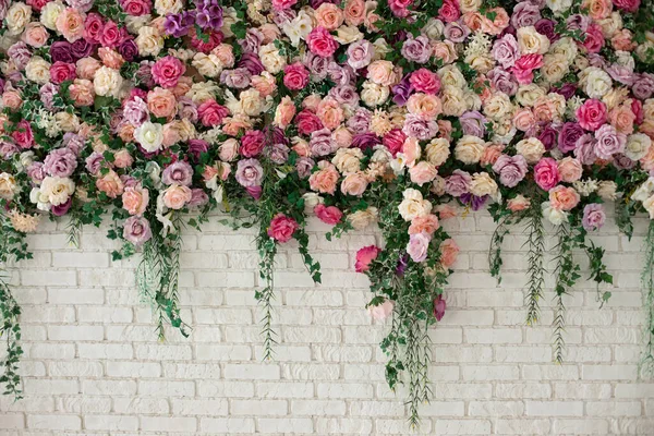 아름다운 색상의 장미와 디오르 아름다운 — 스톡 사진