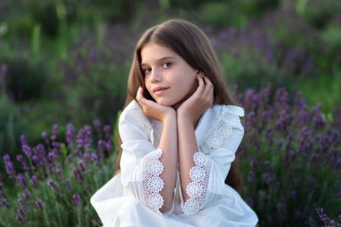 Uzun saçlı, açık havada beyaz elbiseli güzel bir genç kız. Lavanta tarlasında neşeli küçük kız. Kız çocuk lavanta topluyor. Büyük gözlü gülümseyen kızı yakından çek. Kaynak