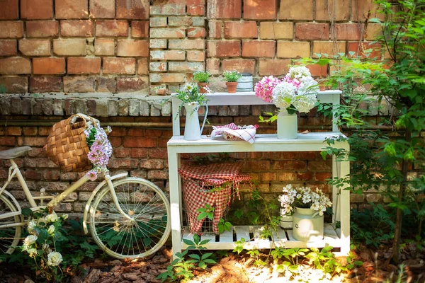 테라스의 과맞닿아 봄꽃을 놓는다 정원의 자전거를 자전거가 — 스톡 사진