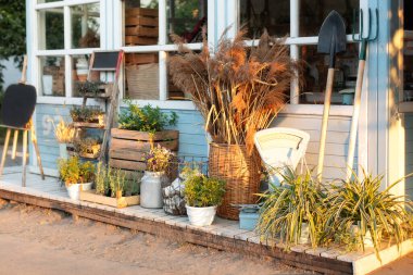 Mavi ev, köy tarzı. Yazın arka bahçedeki evde yeşil bitkiler, kurumuş çiviler, çiçekler ve otlar. Baharatlı otlar dışarıda, terasta saksılarda. Evdeki rahat dekor verandası. Bahçıvanlık 