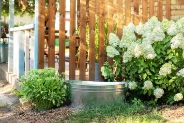 Galvanized basin in garden against wooden wall at home. Metal bath in backyard. Blooming bushes white hydrangea and old iron bowl on the backyard of wooden house, summer decoration outdoor terrace. 
