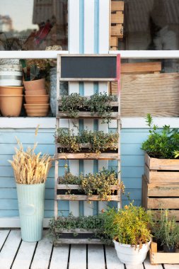 Baharatlı otlar ahşap kutularda, terasta. Evdeki rahat dekor verandası. Yazın ahşap tezgahta yeşil bitkiler ve çiçekler olan ahşap veranda. Bahçe konsepti. 