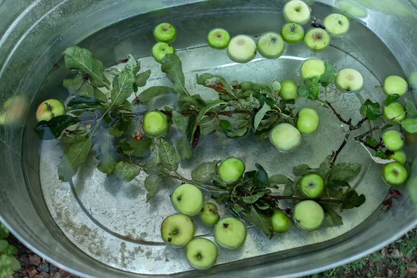 Basin Water Apples Summer Garden Old Iron Bowl Fruts Backyard — Stock Photo, Image