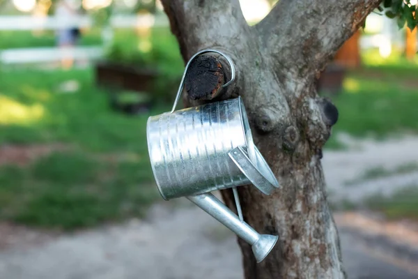 Metal galvanized Watering can on tree awaiting use on newly planted seedlings plants in summer garden. Vintage rustic outdoors garden Tool in backyard at home. Gardening concept and hobby.