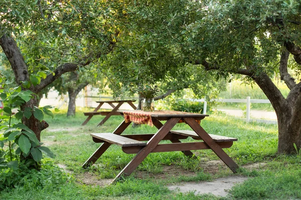 Picnic place in Orchard at backyard. Wooden picnic table with benches on beautiful grass lawn in quiet place. Bench. Beautiful picnic area with wooden table in summer garden. Resting place on park.