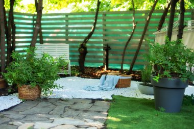 Autumn backyard home. Interior Terrace with plants and wooden porch of house. Houseplants in pots in courtyard. Patio of house with plants in pots. House veranda in summer decor. Cozy garden corner.  