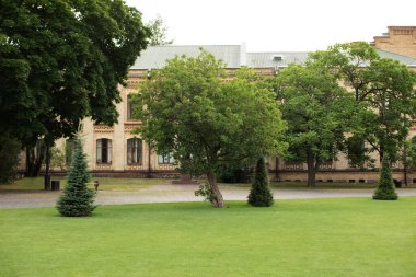 landscaped park with different trees, evergreen and seasonal plants in backyard. Sunlit landscape in park. Lawn in summer garden with green trees. Decorative evergreen trees in landscape design