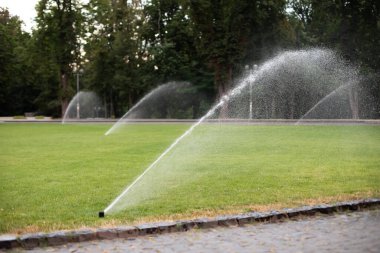 On green lawn, in a park or garden, a sprinkler is working. Automatic sprinkler irrigation system or device for watering of lawn. Grass irrigation. Garden Irrigation sprinkler watering lawn. Spraying 