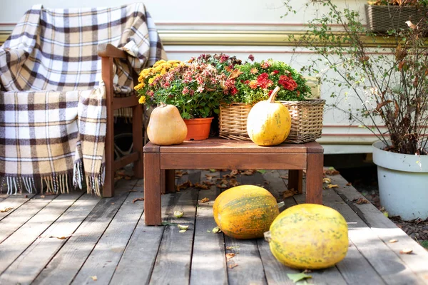 Yellow Pumpkins Fall Flowers Pots Table Decorated Entrance House Pumpkins — Stock Photo, Image