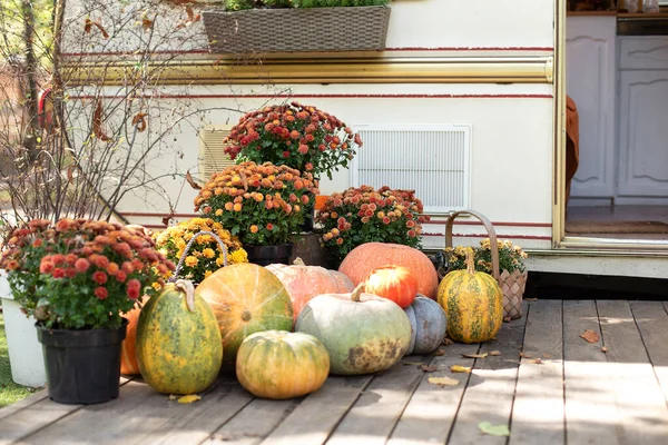 Fall Backyard with pumpkins and chrysanthemum in pots. RV house Porch decorated for Halloween, Thanksgiving. Orange Pumpkins and autumn flowers on steps house. Campsite in garden.