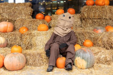 Tulum giymiş kafasında bir torba saman olan korkunç korkuluk bir sürü turuncu balkabağıyla saman ya da saman yığınının üzerinde oturuyor. Ürkütücü Cadılar Bayramı tatili konsepti. Evde Cadılar Bayramı süsü. 