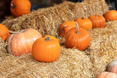 Güneşli bir günde saman ya da saman yığınında portakallı Cadılar Bayramı kabakları. Evde cadılar bayramı süsü. Rustic Fall Pumpkins ve saman arka planı. Sonbahar festivali. Dış binanın klas sonbahar dekoru. 