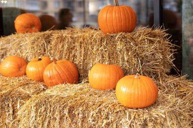 Güneşli bir günde saman ya da saman yığınında portakallı Cadılar Bayramı kabakları. Rustic Fall Pumpkins ve saman arka planı. Sonbahar festivali. Evde cadılar bayramı süsü. Dış binanın klas sonbahar dekoru. 