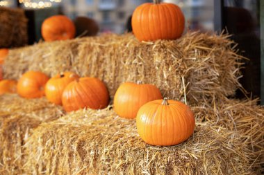 Güneşli bir günde saman ya da saman yığınında portakallı Cadılar Bayramı kabakları. Evde cadılar bayramı süsü. Rustic Fall Pumpkins ve saman arka planı. Sonbahar festivali. Dış binanın klas sonbahar dekoru. 