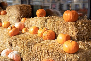 Güneşli bir günde saman ya da saman yığınında portakallı Cadılar Bayramı kabakları. Rustic Fall Pumpkins ve saman arka planı. Sonbahar festivali. Evde cadılar bayramı süsü. Dış binanın klas sonbahar dekoru. 
