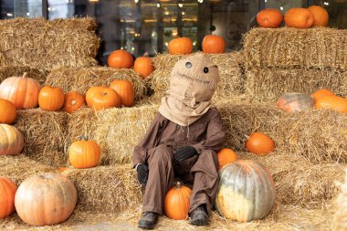 Tulum giymiş kafasında bir torba saman olan korkunç korkuluk bir sürü turuncu balkabağıyla saman ya da saman yığınının üzerinde oturuyor. Ürkütücü Cadılar Bayramı tatili konsepti. Evde Cadılar Bayramı süsü. 