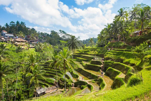 Şehir cuzco, peru, Güney Amerika