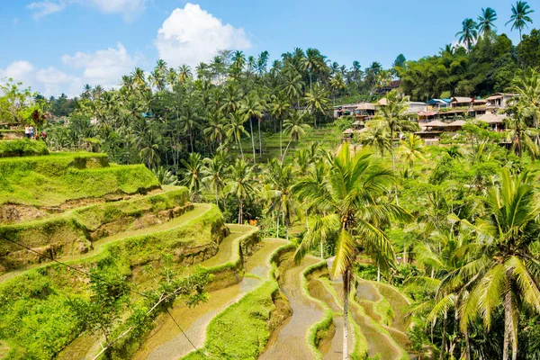 Şehir cuzco, peru, Güney Amerika