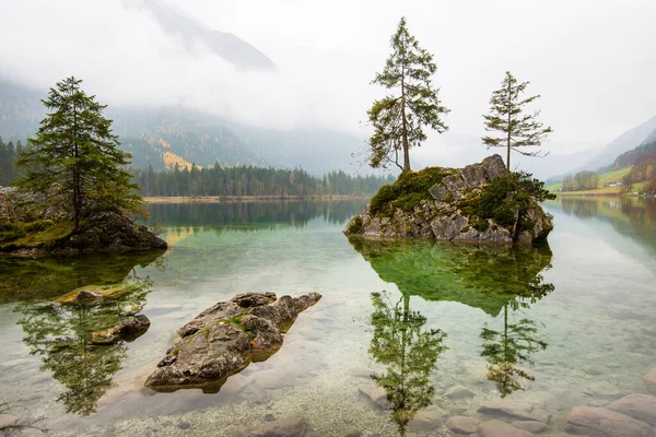 Trees growing on a rock in Lake Hintersee, Ramsau, Bavaria, Germany — Stock Photo, Image