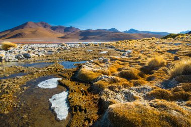 Laguna Colorada - kırmızı su lagünü. Bolivya. Güney Amerika
