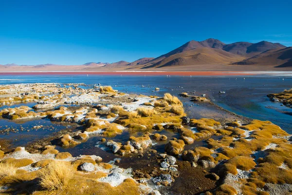 Λαγκούνα Χρωματοδα-λίμνη με κόκκινο νερό. Βολιβία. Νότια Αμερική — Φωτογραφία Αρχείου