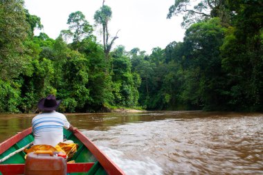 Borneo 'nun derin ormanlarında tekne gezisi