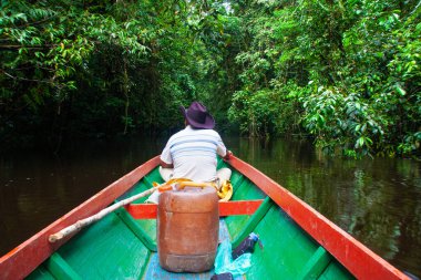 Borneo 'nun derin ormanlarında tekne gezisi
