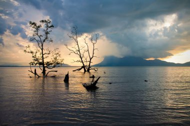 Bakü Milli Parkı, Borneo - Malezya 'da Mangrove ormanı üstüne fırtına