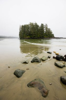 Tofino, Vancouver Adası, Kanada 'daki Long Beach' te küçük bir ada.