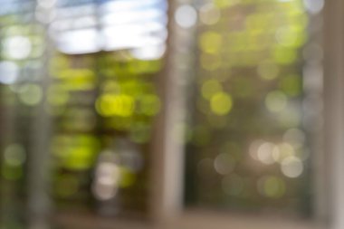 Bulanık ofis pencereleri ve yeşil arka plan. Soyut güzel yeşil bokeh.