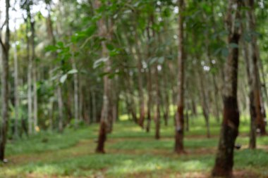 Plastik ağaç çiftliğinin bulanık arka planı. Akıllı çiftçilik için soyut arkaplan.